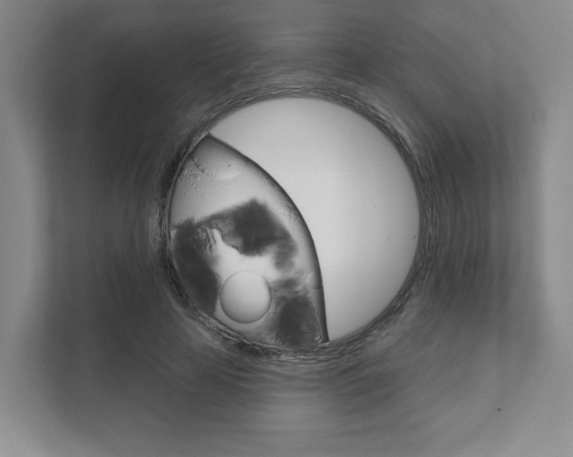 X0000111940641200907271015