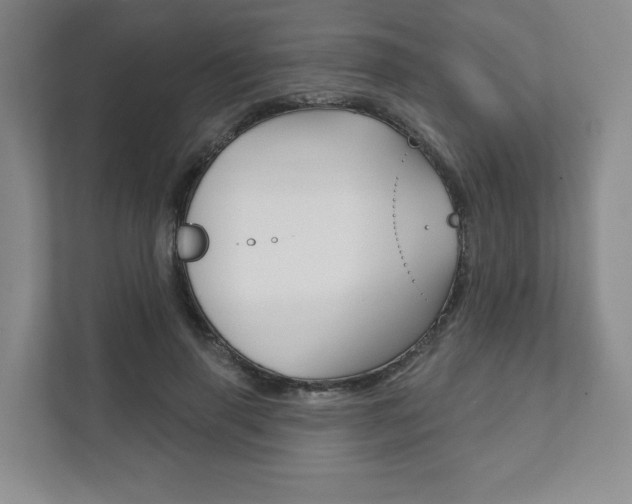 X0000111940645200907271015