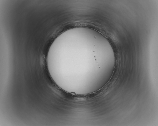 X0000111940649200907271015