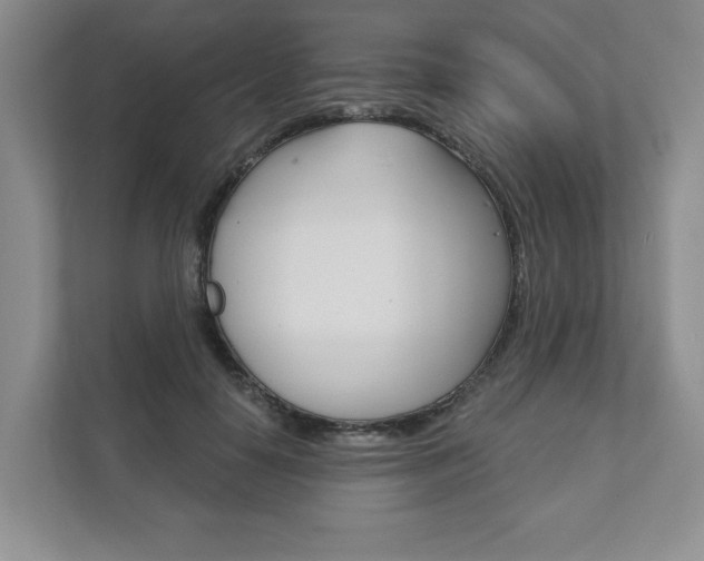 X0000111940650200907271015