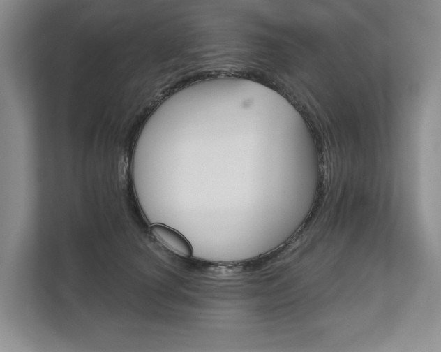 X0000111940660200907271015