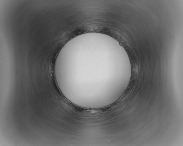 X0000111940663200907271015