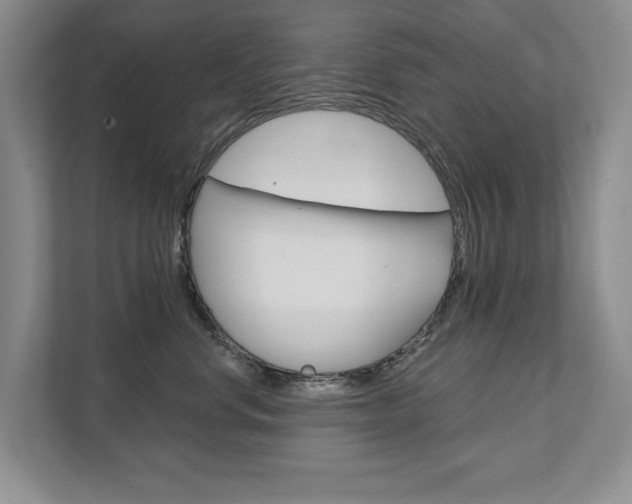 X0000111940668200907271015