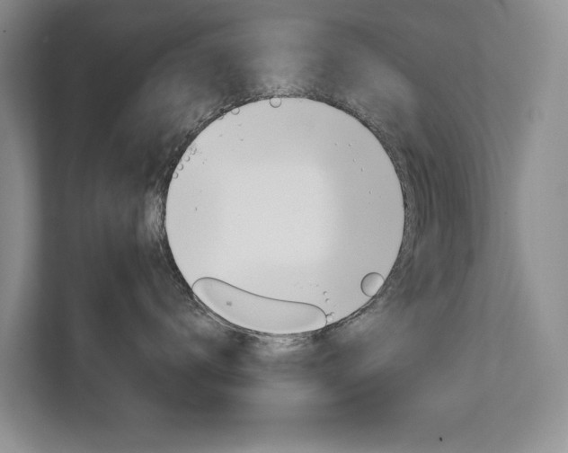 X0000111940672200907271015