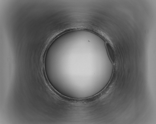 X0000111940673200907271015