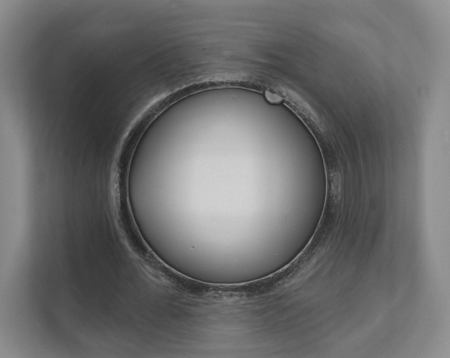 X0000111940676200907271014
