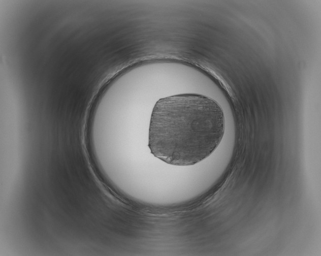 X0000111940677200907271014