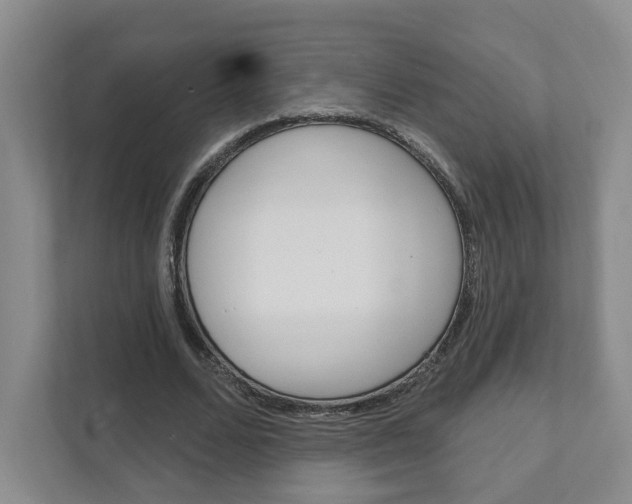 X0000111940680200907271014