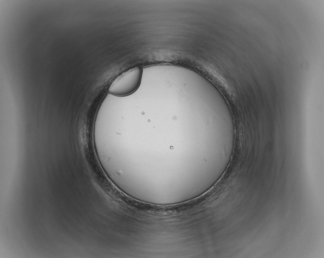 X0000111940683200907271014