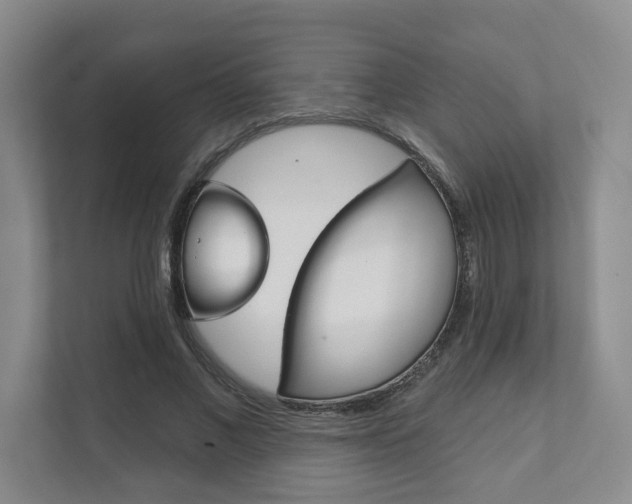 X0000111940685200907271014