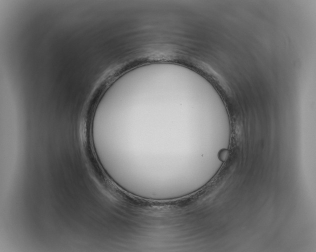 X0000111940686200907271014