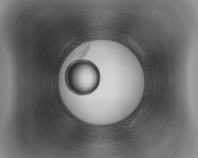 X0000111940697200907271014