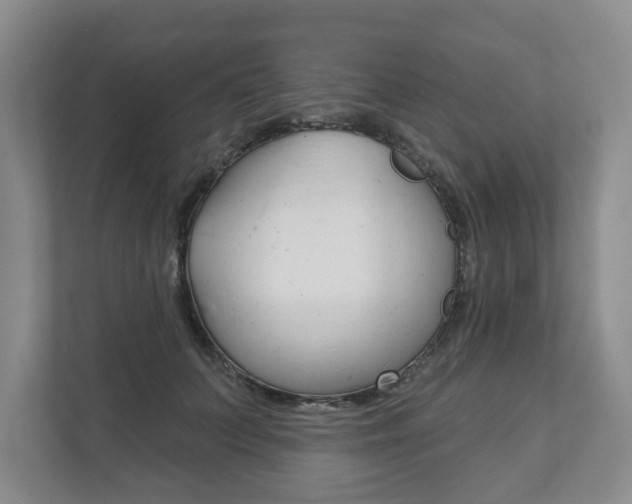 X0000111940703200907271014