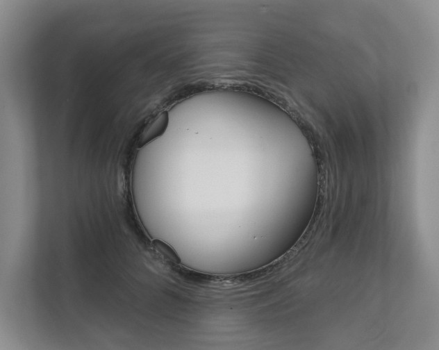 X0000111940704200907271014