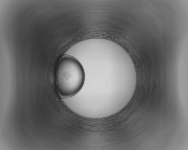 X0000111940705200907271014