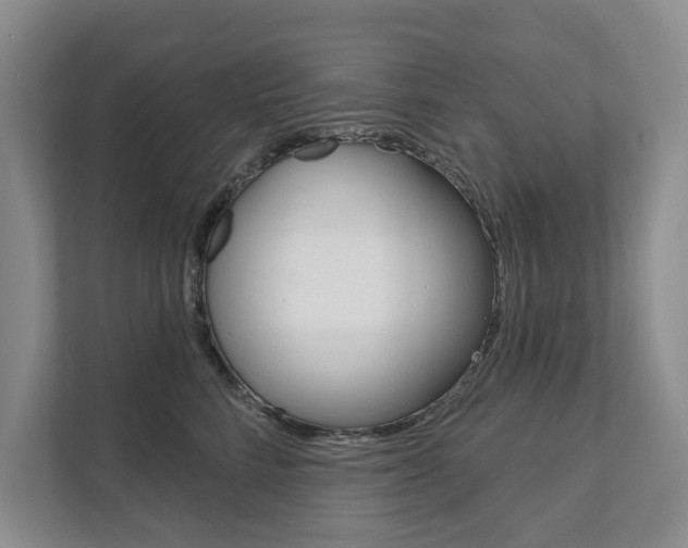 X0000111940712200907271014