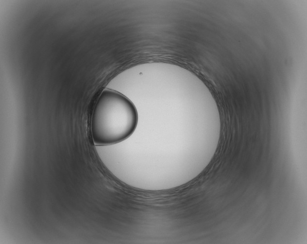 X0000111940716200907271014