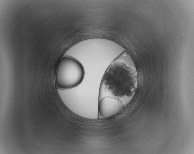 X0000111940719200907271014