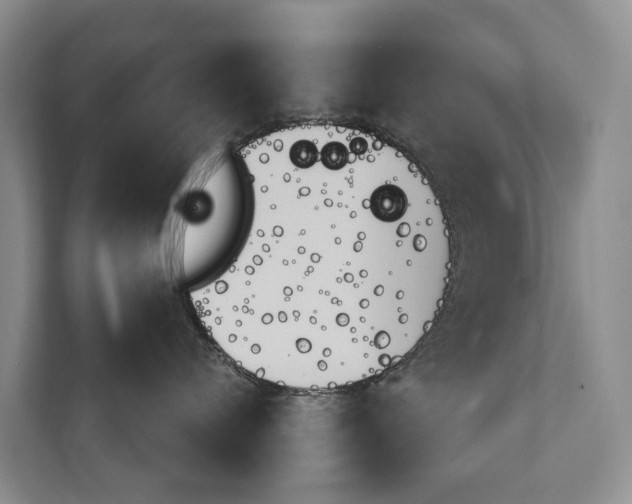 X0000111940720200907271014