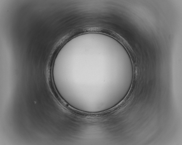 X0000111940725200907271013
