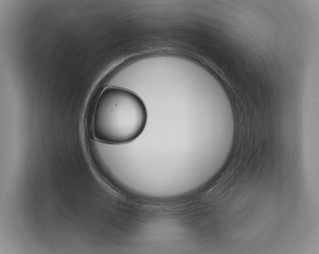 X0000111940726200907271013