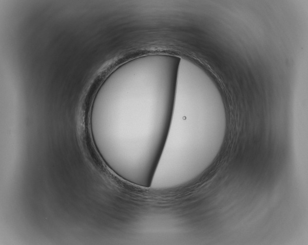 X0000111940727200907271013
