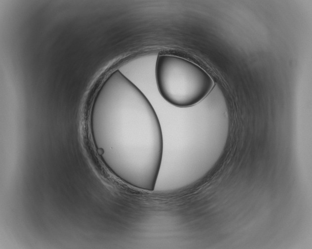X0000111940728200907271013