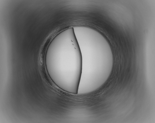 X0000111940731200907271013