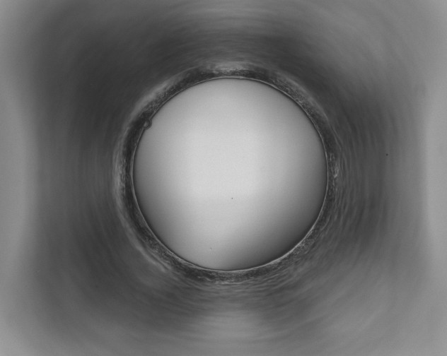 X0000111940732200907271013