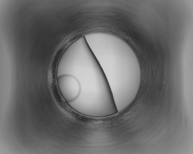 X0000111940734200907271013