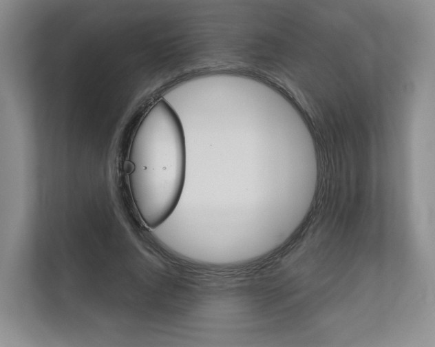 X0000111940736200907271013