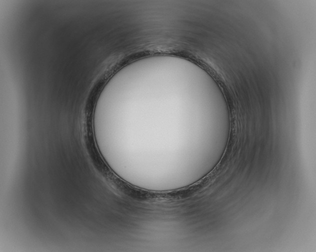 X0000111940738200907271013