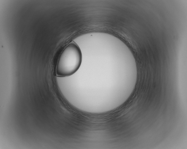 X0000111940740200907271014