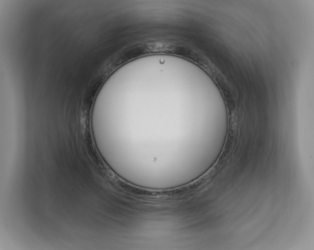 X0000111940741200907271014