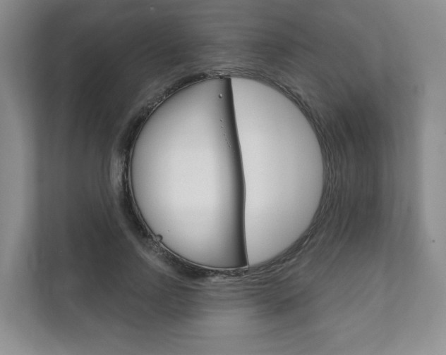 X0000111940742200907271014