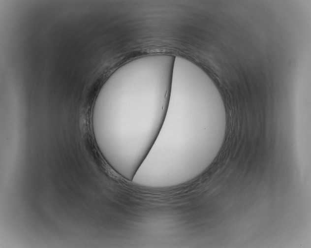 X0000111940743200907271014