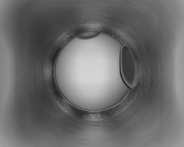 X0000111940744200907271014