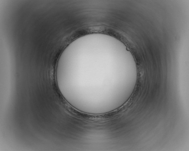 X0000111940745200907271014
