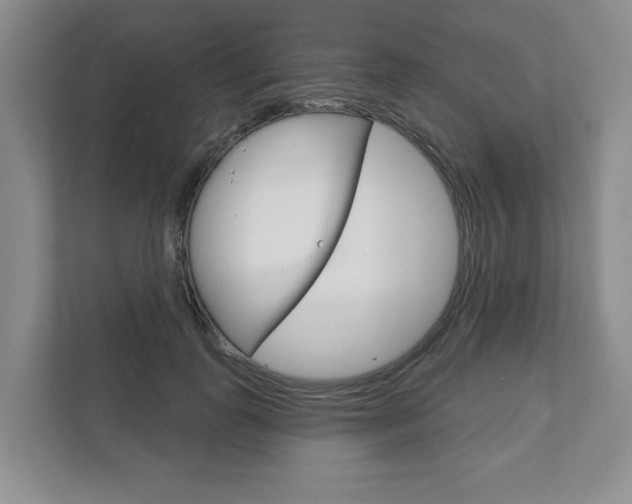 X0000111940747200907271014