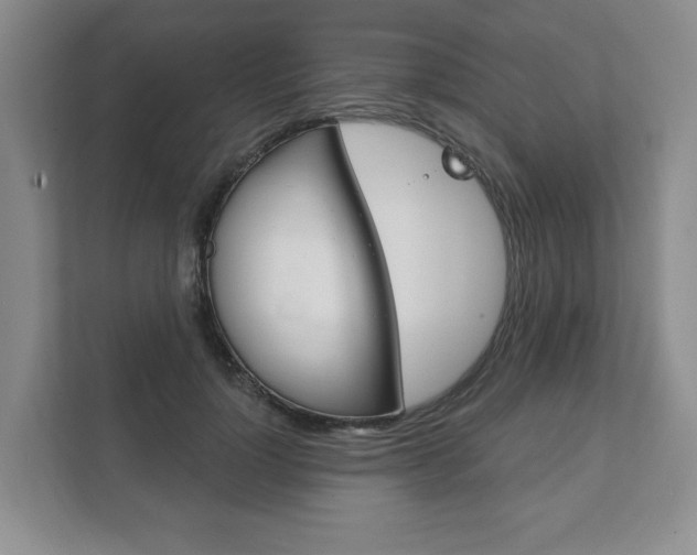 X0000111940748200907271014