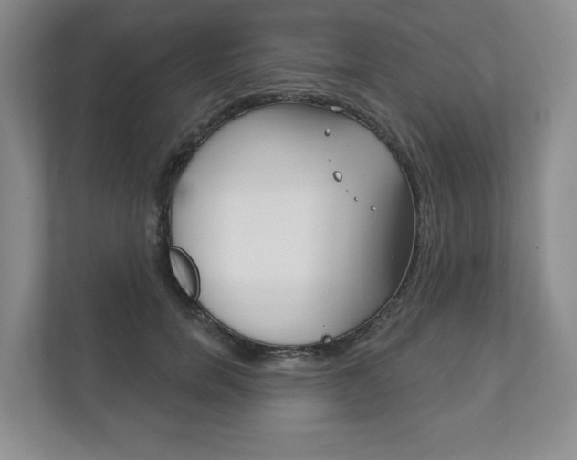 X0000111940750200907271014