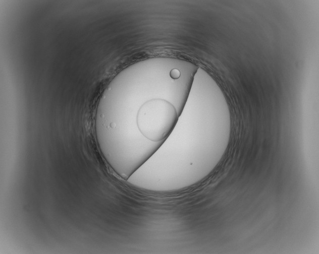 X0000111940751200907271014