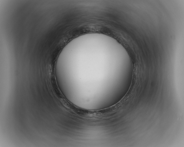 X0000111940752200907271014