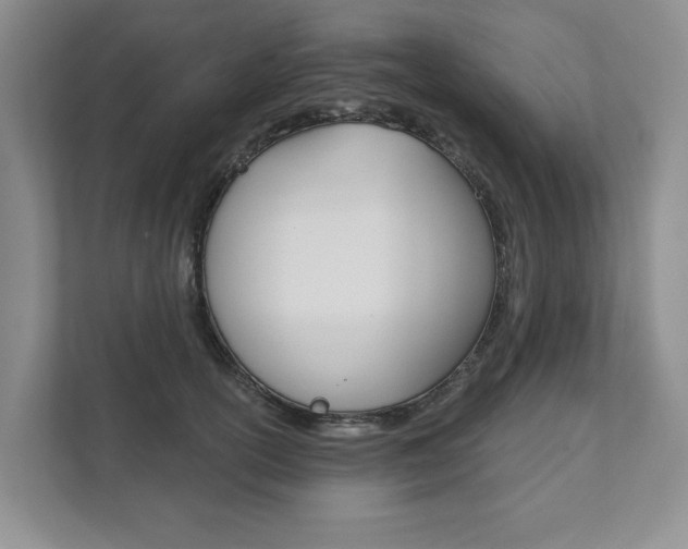 X0000111940754200907271014