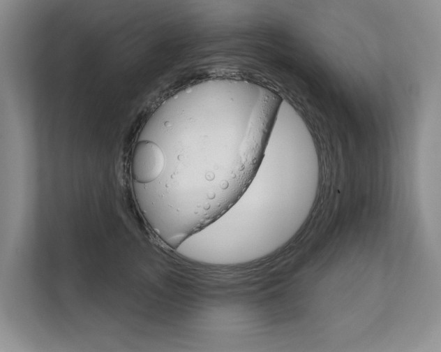 X0000111940755200907271014