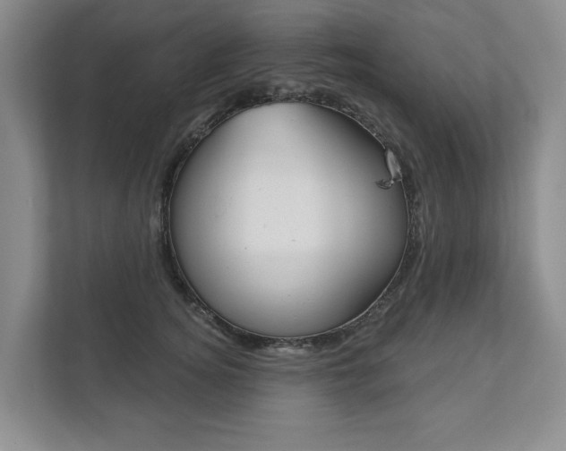 X0000111940756200907271014