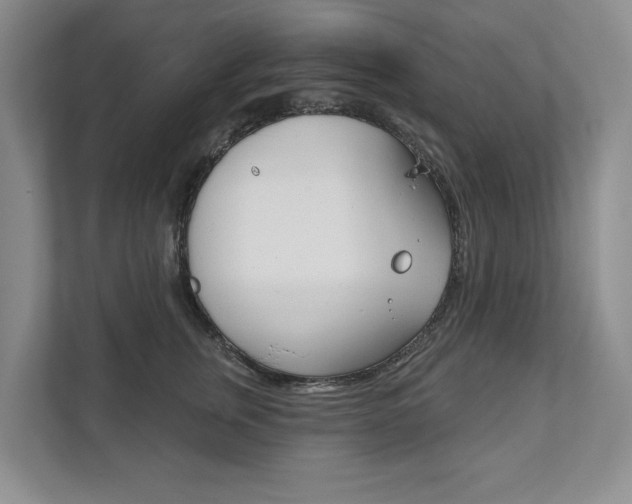 X0000111940759200907271014