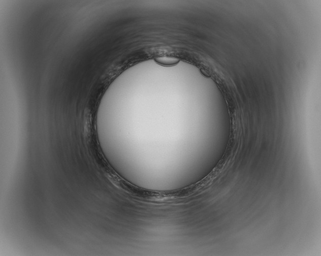 X0000111940760200907271014