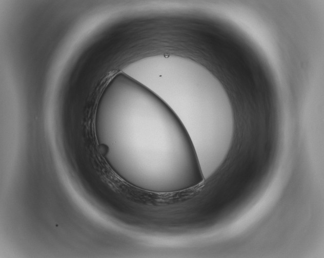 X0000111940766200907271014