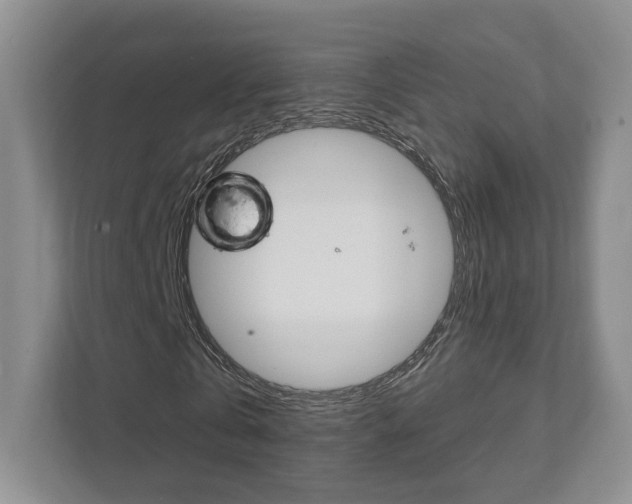 X0000111940769200907271013